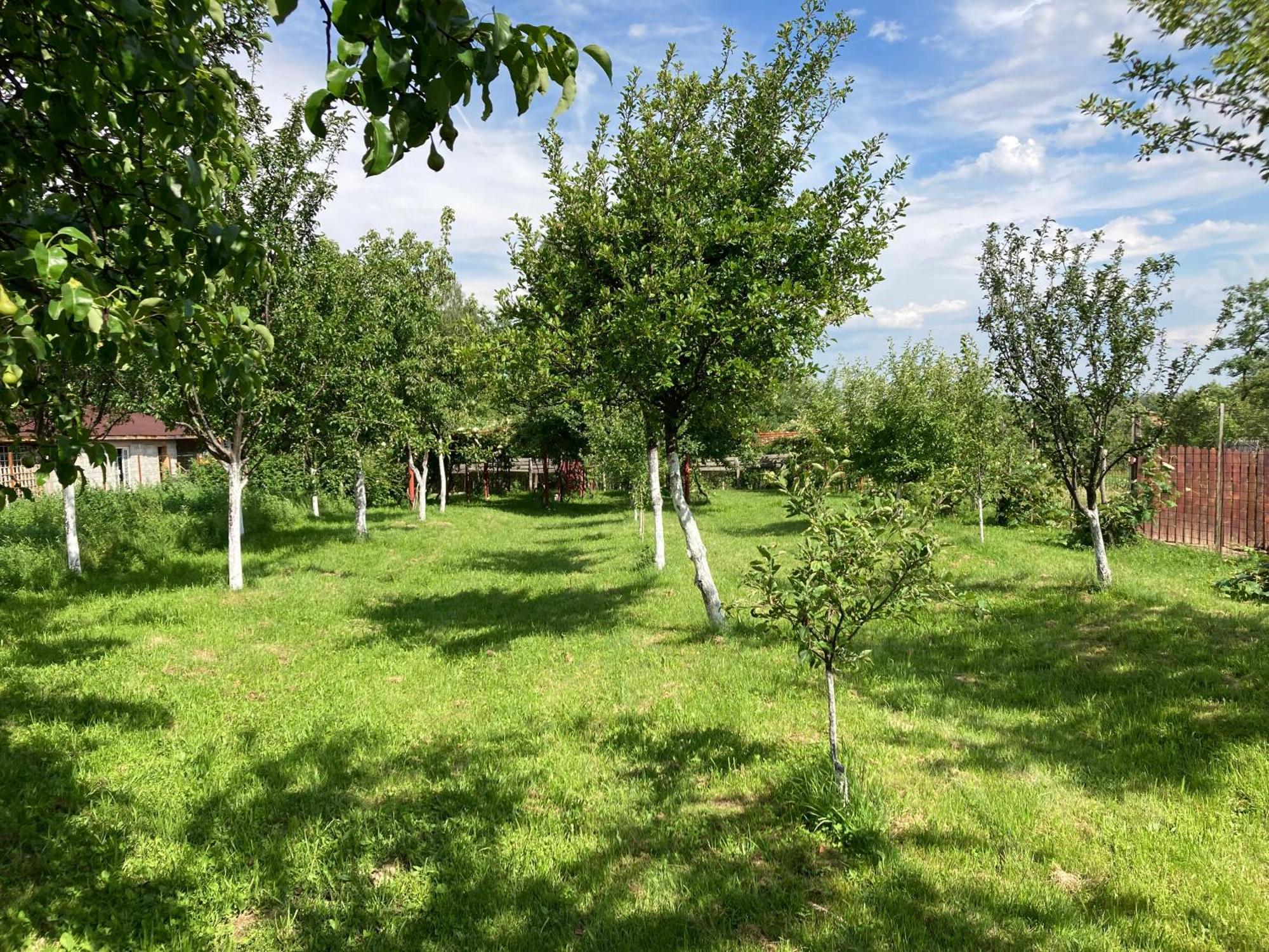 Pensiunea Casa Domnitei Baia de Fier Esterno foto