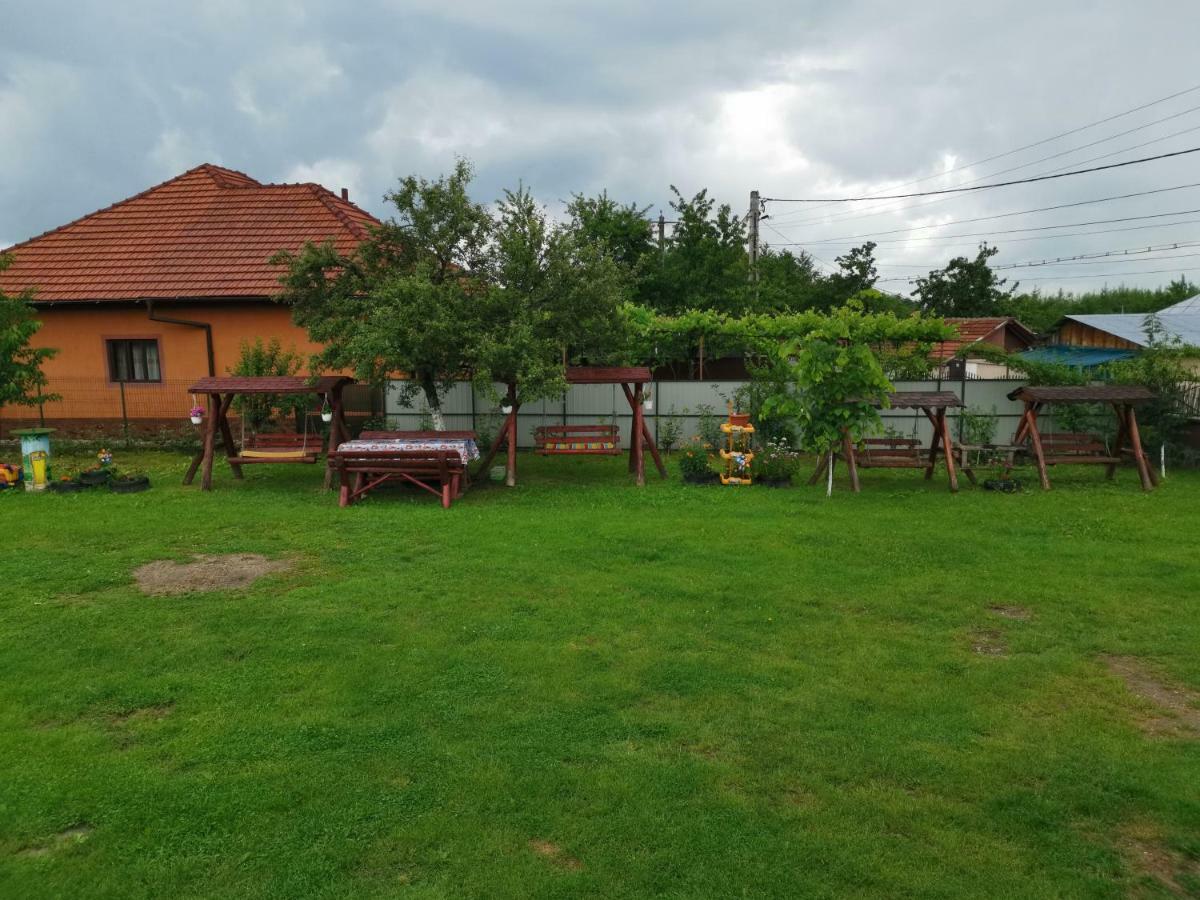 Pensiunea Casa Domnitei Baia de Fier Esterno foto