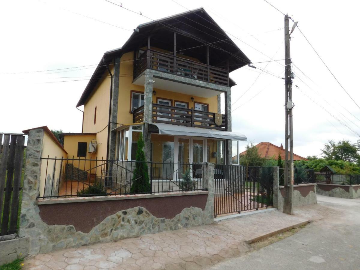 Pensiunea Casa Domnitei Baia de Fier Esterno foto
